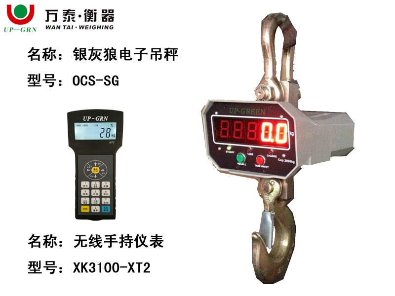 OCS-SG型 银灰狼电子吊秤配手持仪表