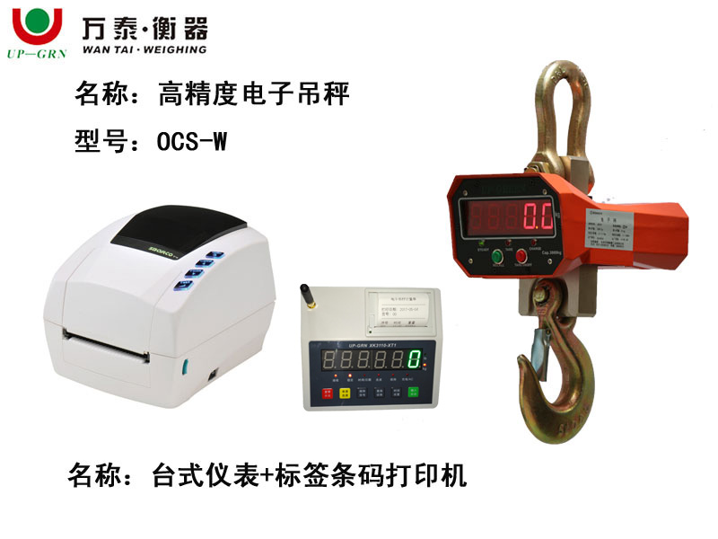 OCS-W型高精度吊秤 配标签条码打印机