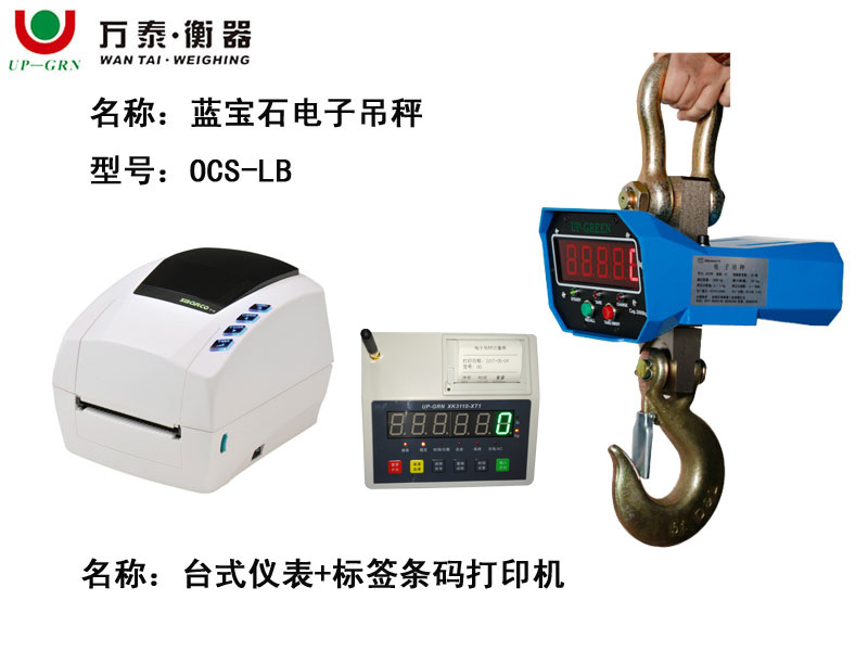 OCS-B型 蓝宝石吊秤 配标签条码打印机